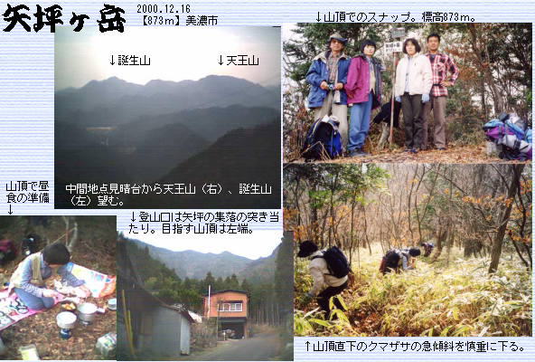 矢坪ヶ岳の写真